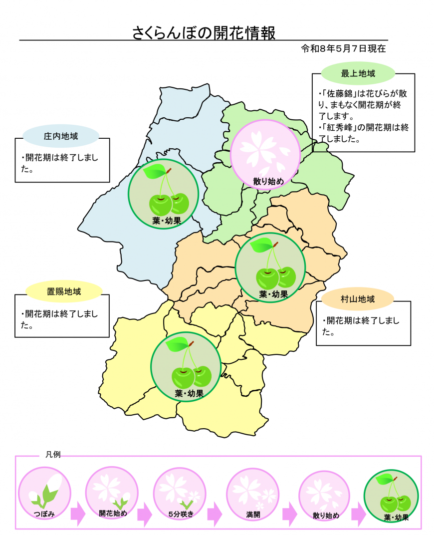 5月7日開花状況