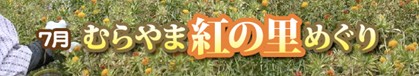 むらやま紅の里めぐり