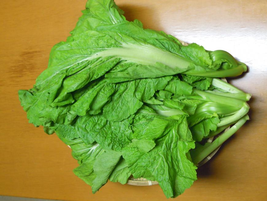 「山形青菜」